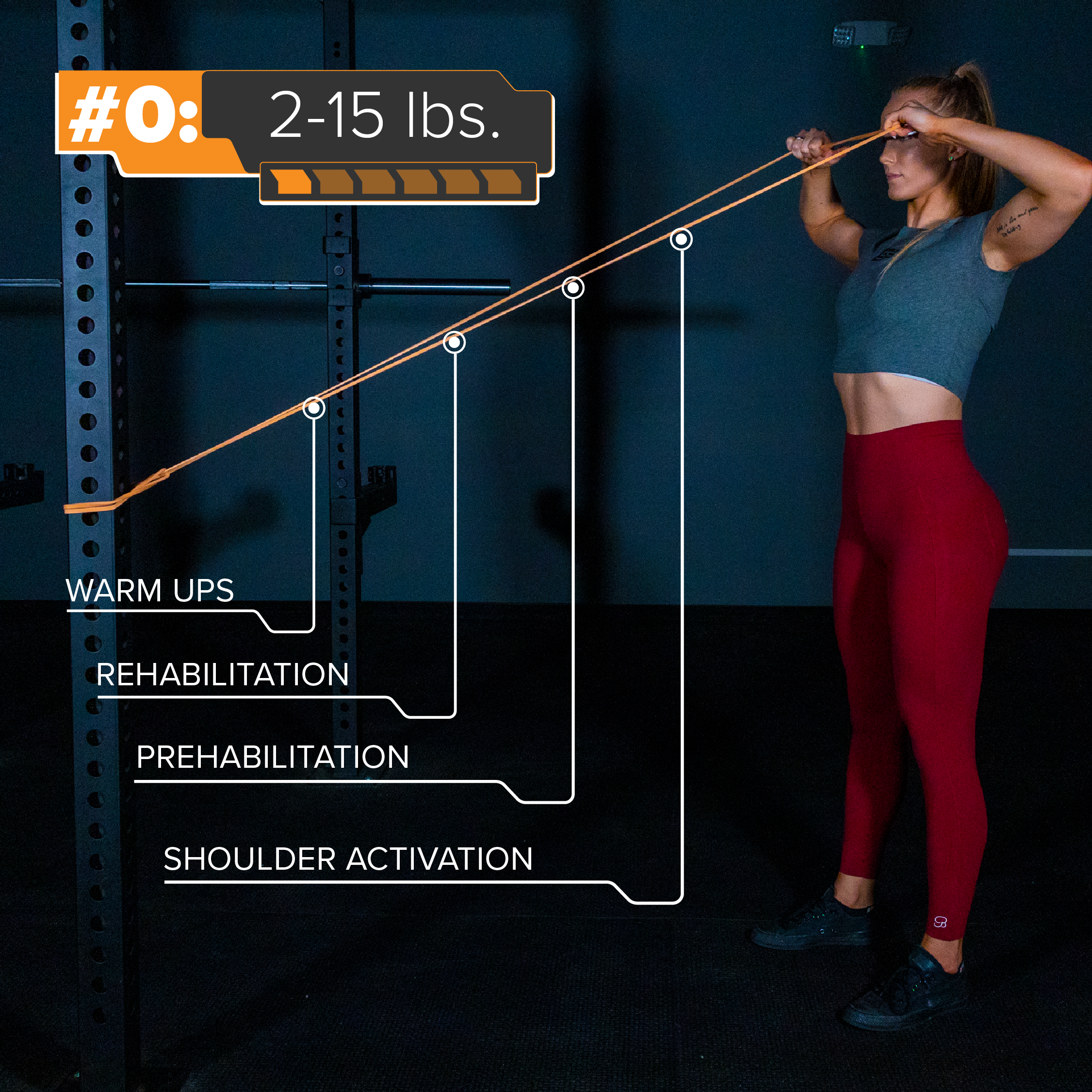 Serious Steel Fitness 41" Resistance Bands