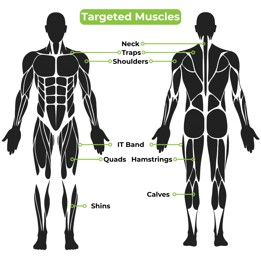 Front and back body diagram highlights muscles targeted by the Little Stick-14, including neck, traps, shoulders, IT band, quads, shins, hamstrings, and calves—all labeled with green dots and lines for trigger point relief.