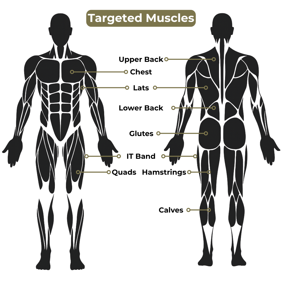 Front and back human body diagram showing targeted muscles—upper back, chest, lats, lower back, glutes, IT band, quads, hamstrings, and calves—demonstrates how the Hunter Stick-22 supports muscle recovery during adventure travel.