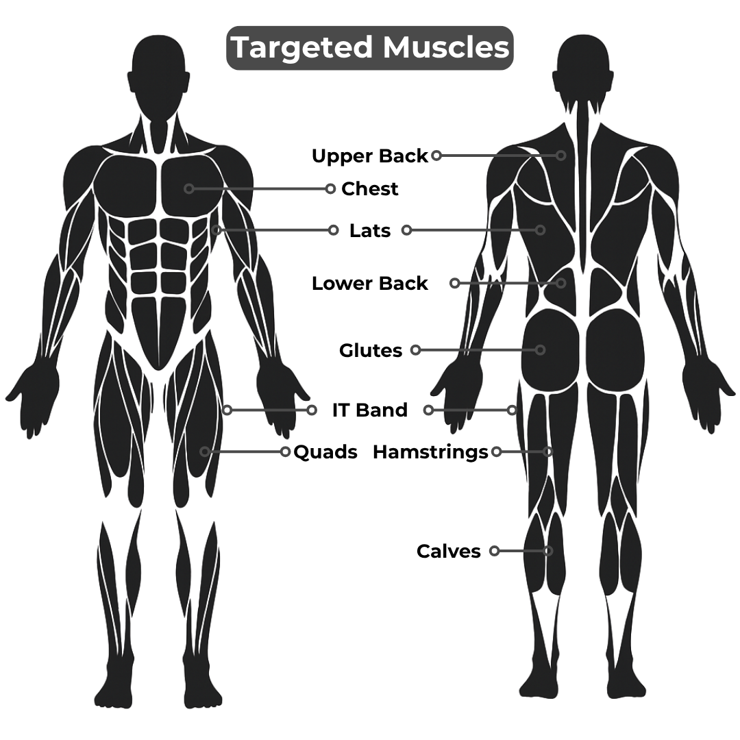 Diagram of a human body (front and back) highlighting targeted muscle groups for recovery with the Sprinter Stick-22: upper back, chest, lats, lower back, glutes, IT band, quads, hamstrings, and calves—all clearly labeled.