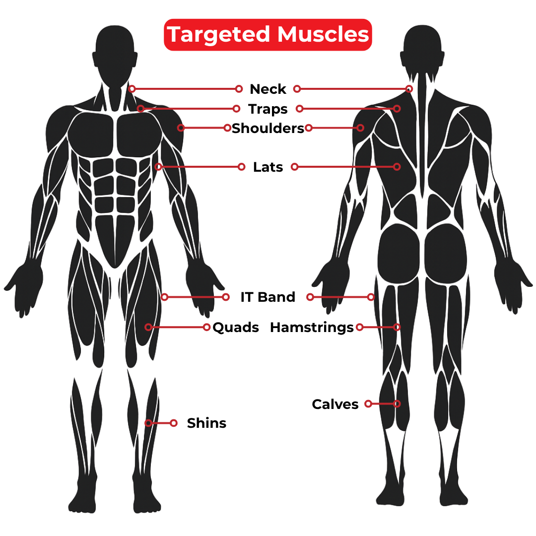 Diagram of a human body (front and back) with labeled muscles: neck, traps, shoulders, lats, IT band, quads, shins, hamstrings, and calves. Title: Targeted Muscles—perfect for muscle recovery or as a gym bag essential like the Travel Stick-18.